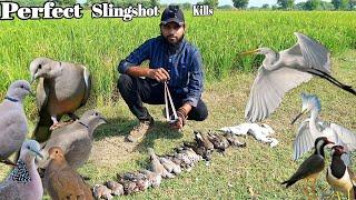 Ultimately Best Birds Hunting with Slingshot | Primitive Way For Birds Hunting