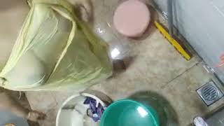 Boudi gosol full video || house wife washing video || village bhabi bathing volg #volgs #bathing