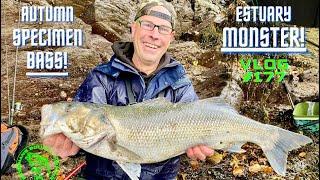 Sea Fishing Uk | ESTUARY MONSTER BASS! Autumn Bass Fishing | Vlog#177