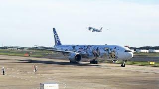 【Tokyo Spotting】ANA All Nippon AirWays Pokemon 「EEVEE JET NH」Boeing 777-300ER JA784A