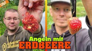 Wir Angeln mit ERDBEERE! OSA in Mission fishing with Strawberries!