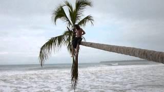 Elmarek on the palm tree in Costa Rica