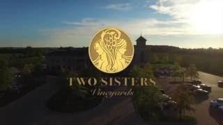 Two Sisters Vineyard