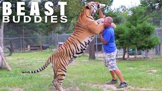 There's A Tiger In My Garden! | BEAST BUDDIES