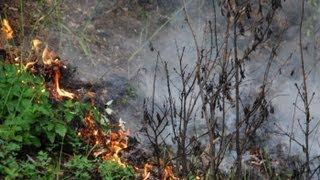 19072013 Bahndamm und Waldbrand Gloggnitz Aue Einsatzdoku