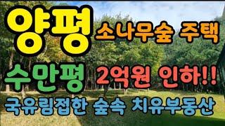 (양평숲속주택)토지1.500평을 단독사용 국유림숲속에  등기토지964평 건물40평#양평전원주택 #양평전원주택급매물 #양평전원주택매매#양평펜션 #양평부동산  매물번호:30115