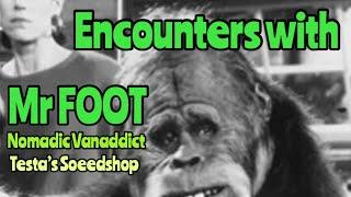 Bad Bigfoot Reviews