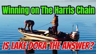 Practicing for Harris Chain Bass Fishing Tournament (Lake Dora)