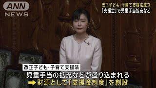 2026年度から「支援金」徴収 改正子ども・子育て支援法が成立(2024年6月5日)