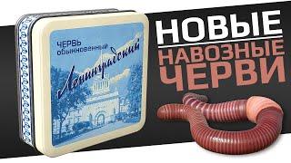 РУССКАЯ РЫБАЛКА 4 - Новые черви, проверяем обновление / Ленинградский на Ершах и окунях / Стрим