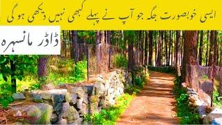 Hidden Natural Place In Siran Valley Mansehra | Best Tourist Family Spot