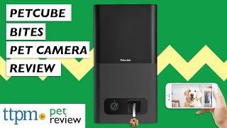 Petcube Bites Pet Camera Review from Petcube