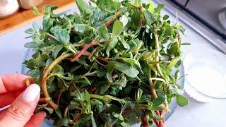 Neighbors from Turkey taught me how to cook garden weed! Very tasty and healthy purslane!