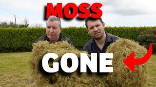 DESTROY moss for GOOD in 5 minutes or LESS