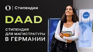 Как получить стипендию DAAD — пошаговый гайд