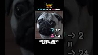 강아지 나이는 어떻게 계산하나요?