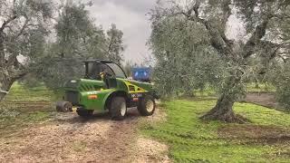 New self-propelled olive trunk shaker Sicma B440 X....evolved species...