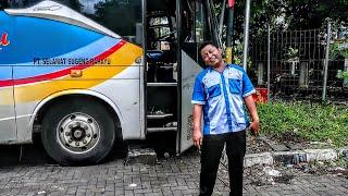 3 armada PERPAL bareng di terminal jogja, nomor berapa saja ?? SUGENG RAHAYU patas dan ekonomi