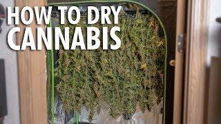 Building a Budget Dry Room - Harvesting & Drying Marijuana