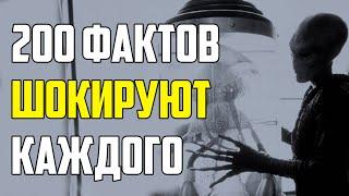 200 ШОКИРУЮЩИХ ФАКТОВ, О КОТОРЫХ ВЫ ДАЖЕ НЕ ПОДОЗРЕВАЛИ