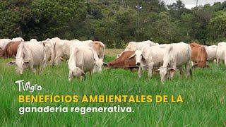 Beneficios Ambientales de la Ganadería Regenerativa - TvAgro por Juan Gonzalo Angel