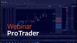 Webinar ProTrader