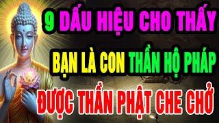 Đức Phật Chỉ Ra: 9 Dấu Hiệu Chứng Tỏ Thần Hộ Pháp Đang Bảo Vệ Bạn Mỗi Ngày, May Mắn Phước Lộc Tự Đến