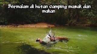 Bermalam Di hutan Dengan Kondisi Hujan Dan Mendapatkan Rusa jantan Ketika Camping Dan Bushcraft