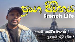 ප්‍රංශයේ අඩුම පඩිය?භාෂාව කොච්චර වැදගත්ද?ප්‍රංශ ජීවිතය How important is language? French life