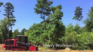 Commercial Land Clearing Before & After - Lone Star Land Enhancement, Inc.