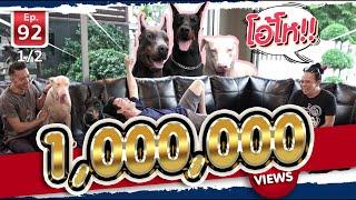 Abino Doberman โดเบอร์แมนเผือก - เพื่อนรักสัตว์เอ้ย EP.92 [1/2]