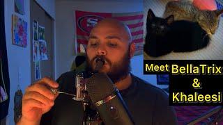 Weed ASMR: Taking a Dab  | Life Update + Meet My New Kittens!