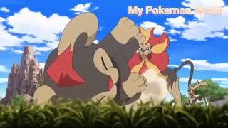 Pyroar Pokedex Entry Pokemon xy