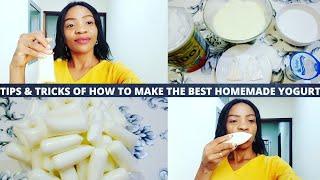 TIPS & TRICKS OF HOW TO MAKE THE BEST YOGURT AT HOME//HOMEMADE YOGURT RECIPE WITH MEASUREMENTS