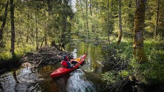 I Rented a Kayak for an Overnight Solo Adventure in Eastern Europe