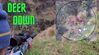 DEER DOWN - 3 QUICK SNIPER SHOTS - 308 & 223 FILLING THE FREEZER - NZ HUNTING