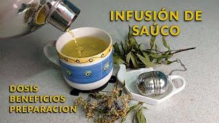 Cómo preparar infusión de saúco | beneficios y precauciones | un té con Daniela