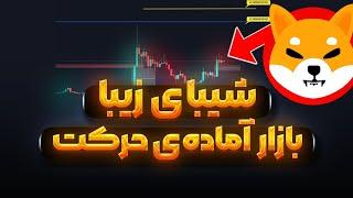 شیبا در مسیر سقف تاریخی؟ | پایان نوامبر | پیش بینی سیلر