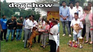 dog show in vijayawada ### 11