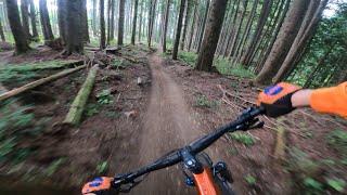 One of the most iconic MTB trails in Washington State! // Side Hustle