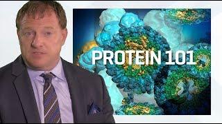 Power of Protein in Recovery from ICU and Illness: Paul Wischmeyer M.D.