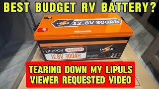 LiPuls 12V 300Ah LiFePO4 Battery Tearing Down My Battery Viewer Requested 300Ah RV Battery Video