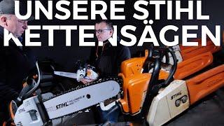 Obsthof Raddatz - WIR ZEIGEN EUCH UNSERE MOTORSÄGEN + EINE NEUE KOMMT DAZU I STIHL MS151TC