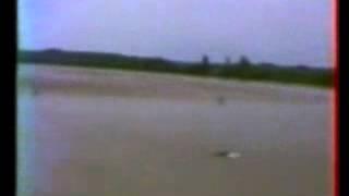 Tidal bore of the Dordogne River, France on 27 Sept. 2000