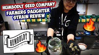 Farmer’s Daughter by Humboldt Seed Company Weed Review