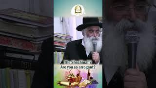 How to Dress Up as the Shechinah on Purim | Rabbi Yoram Abargel z"tl