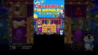 슬기로운카지노 펭귄 개집은 홀수로 먹어버리죠! #슬롯 #슬롯머신 #슬카