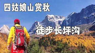 四姑娘山赏秋，徒步长坪沟三十公里，遇见最美四姑娘山【行走世界的北京老刘】