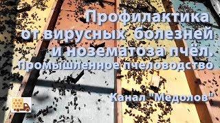 Профилактика  от вирусных  болезней  и нозематоза пчёл.  Промышленное пчеловодство