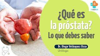 ¿Qué es la próstata? Lo que debes saber | Tu Salud Guía